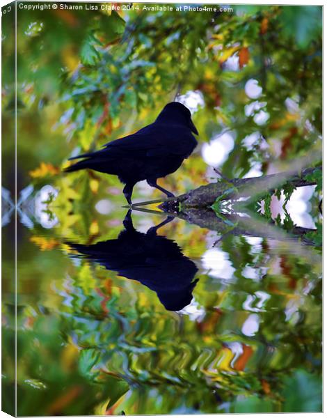  Reflected crow Canvas Print by Sharon Lisa Clarke