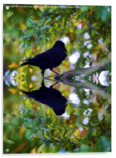  Reflected crow Acrylic by Sharon Lisa Clarke