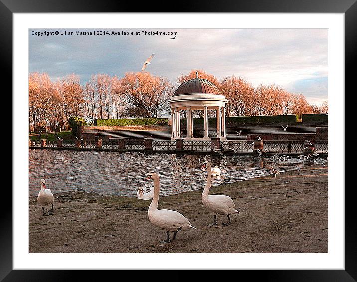 The Bandstand.  Framed Mounted Print by Lilian Marshall