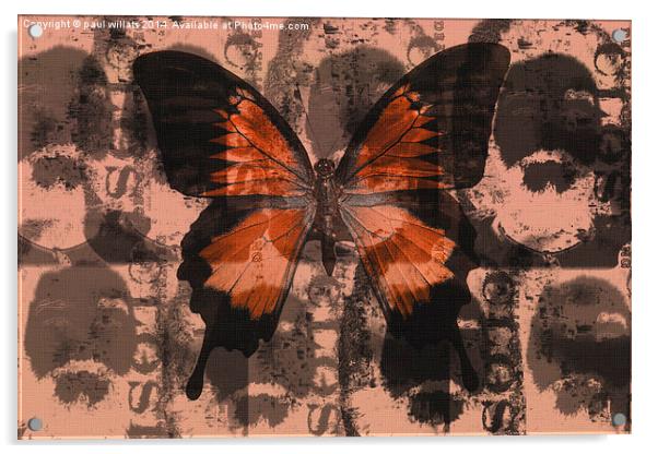 BUTTERFLY  Acrylic by paul willats