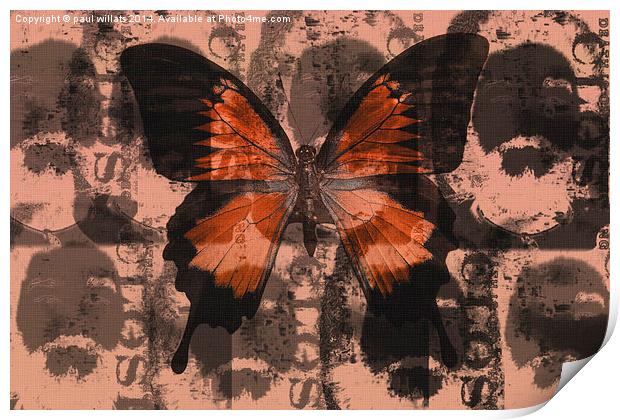 BUTTERFLY  Print by paul willats