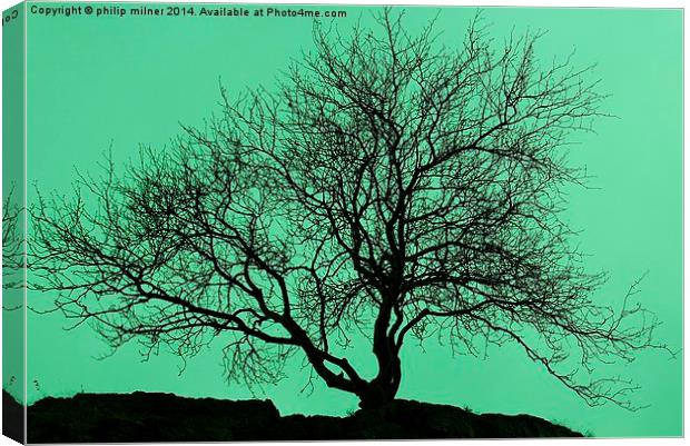  Tree In The Sky Silhouette Canvas Print by philip milner