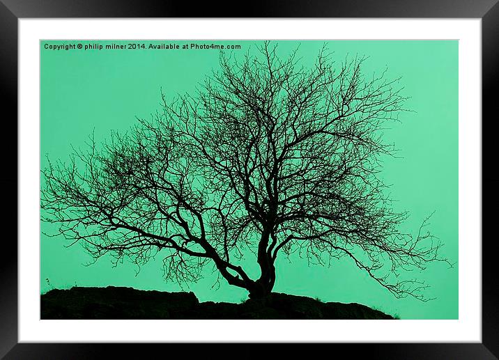  Tree In The Sky Silhouette Framed Mounted Print by philip milner