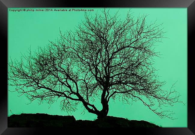 Tree In The Sky Silhouette Framed Print by philip milner