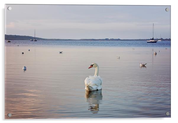  Swan Lake Acrylic by Jennie Franklin