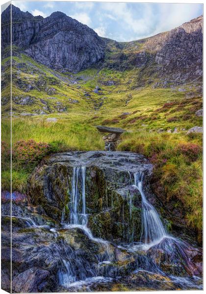 Lake Idwal Stream  Canvas Print by Ian Mitchell