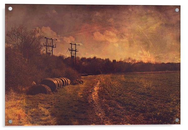 Dunton Green Fields  Acrylic by Dawn Cox