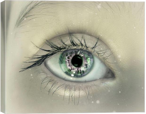 Beauty Is In The Eye Canvas Print by Iona Newton