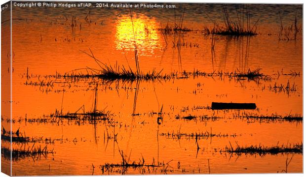  Sunset on the Levels Canvas Print by Philip Hodges aFIAP ,