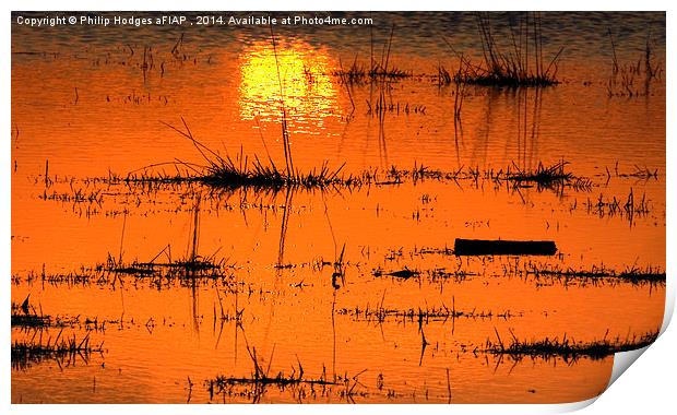  Sunset on the Levels Print by Philip Hodges aFIAP ,