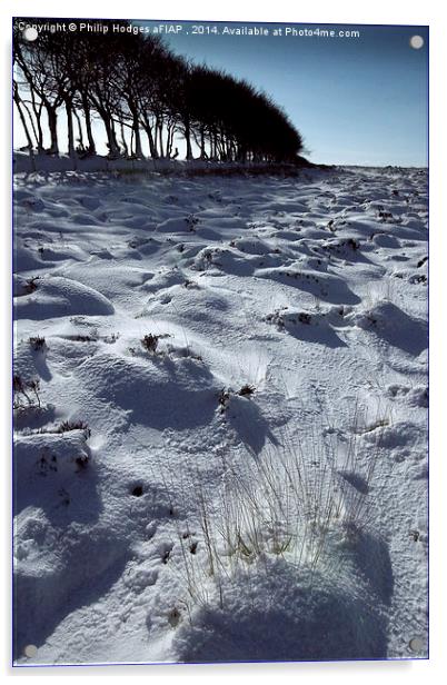 Snow on Exmoor  Acrylic by Philip Hodges aFIAP ,