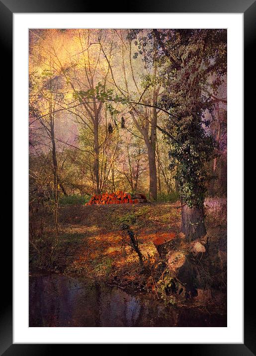  Kent Wildlife Reserve Framed Mounted Print by Dawn Cox