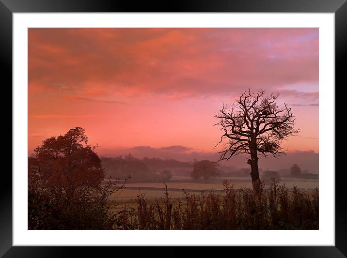  The Promise of a new Day Framed Mounted Print by Dawn Cox