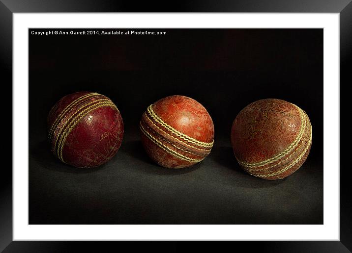 Cricket Memories Framed Mounted Print by Ann Garrett