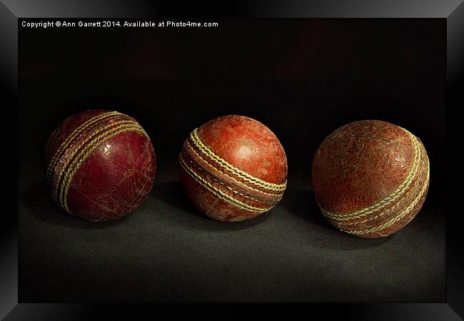 Cricket Memories Framed Print by Ann Garrett