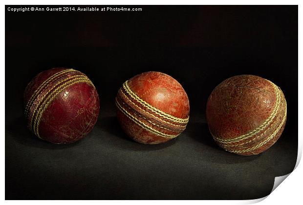 Cricket Memories Print by Ann Garrett