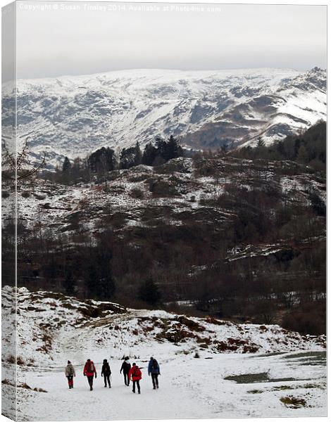 Walking the fells Canvas Print by Susan Tinsley