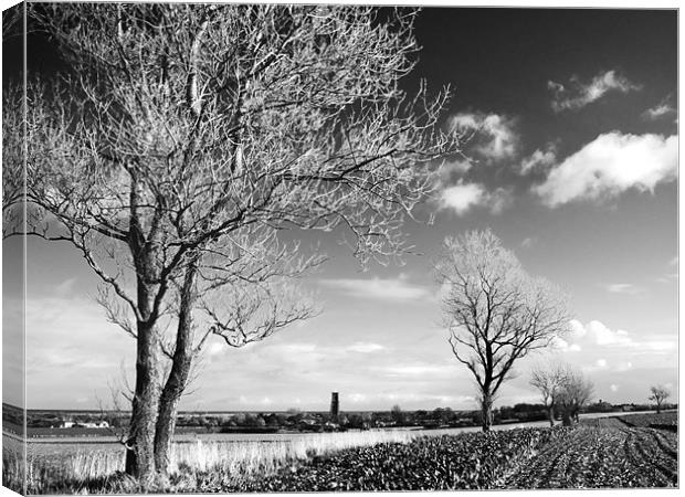 Looking across the fields  towards Winterton, Norf Canvas Print by Stephen Mole