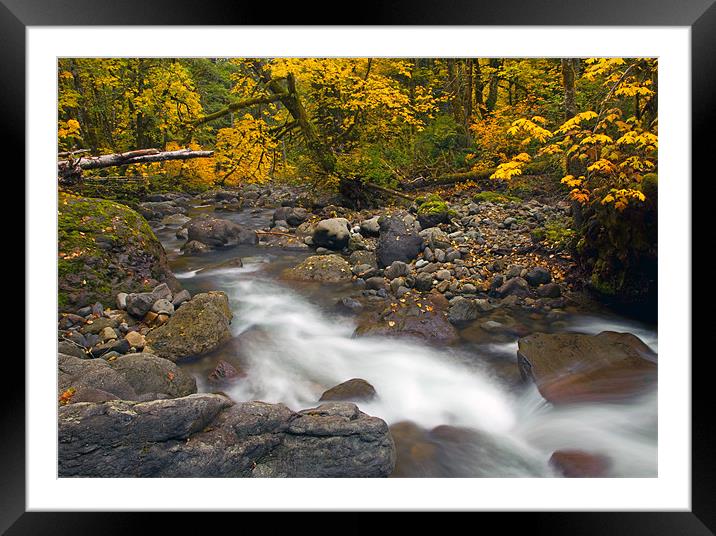 Autumn Downstream Framed Mounted Print by Mike Dawson
