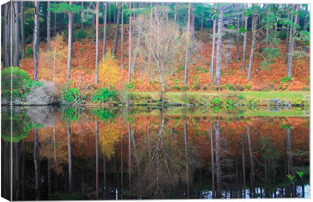  Autumn reflections Canvas Print by Ross Lawford
