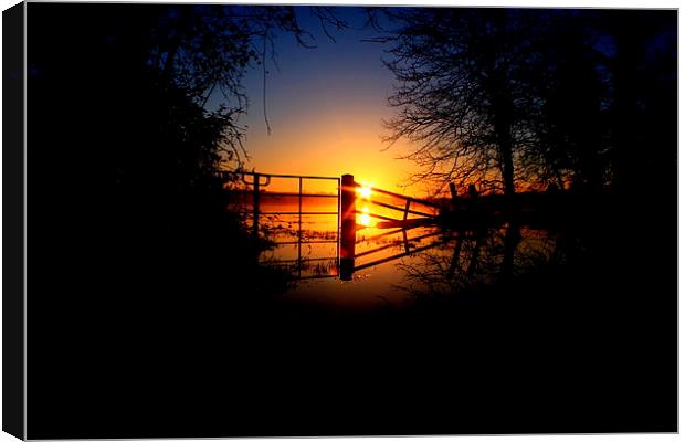  Sunrise thru the flooded gate Canvas Print by Ross Lawford