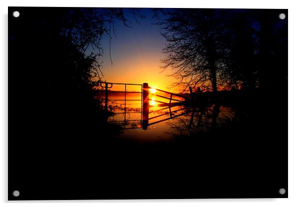  Sunrise thru the flooded gate Acrylic by Ross Lawford