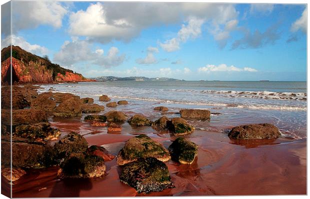  Red cliffs and sand at Broadsands Beach Torbay  Canvas Print by Rosie Spooner