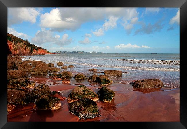  Red cliffs and sand at Broadsands Beach Torbay  Framed Print by Rosie Spooner