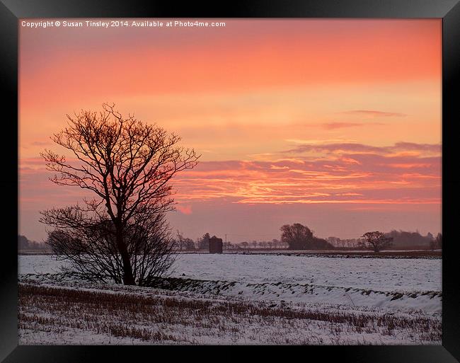 Sunrise in winter Framed Print by Susan Tinsley