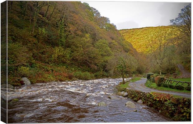 The East Lyn at Watersmeet  Canvas Print by graham young