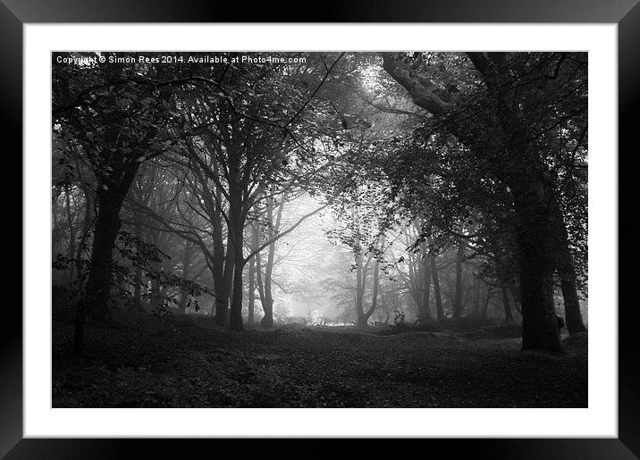  Enchanted Wood! Framed Mounted Print by Simon Rees