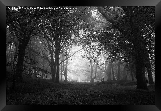  Enchanted Wood! Framed Print by Simon Rees