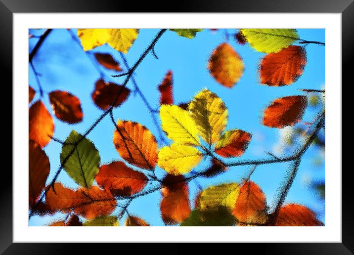  Impressions of Autumn Framed Mounted Print by Rob Smith