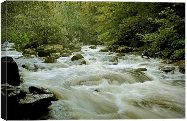 The Tumbling waters of the East Lyn  Canvas Print by graham young