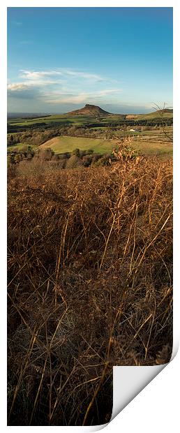  Roseberry Topping Print by Dave Hudspeth Landscape Photography