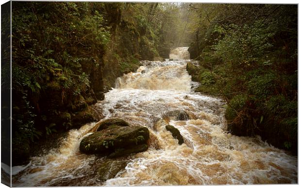 The 'Falls at Watersmeet  Canvas Print by graham young