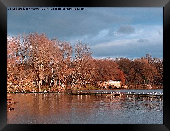  The Boating Lake,  Framed Print by Lilian Marshall