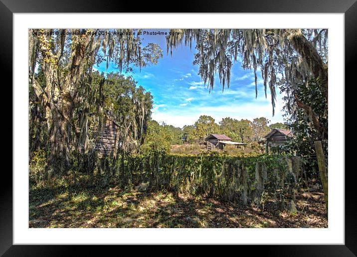  Old Rural Florida Framed Mounted Print by Judy Hall-Folde