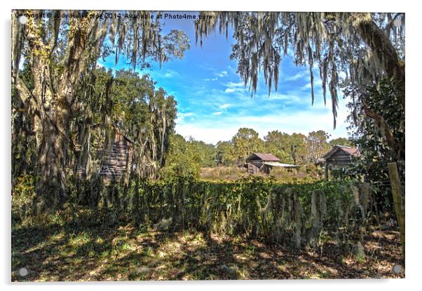  Old Rural Florida Acrylic by Judy Hall-Folde