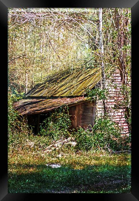  Tin Roof Rusted Framed Print by Judy Hall-Folde