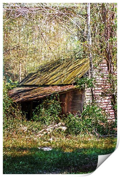  Tin Roof Rusted Print by Judy Hall-Folde