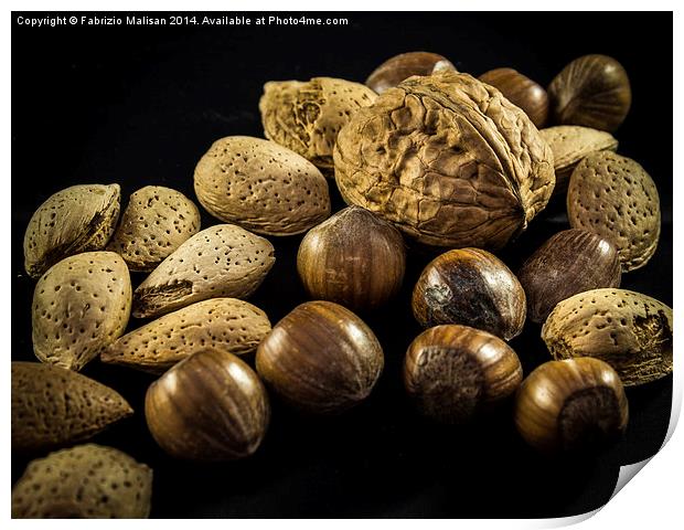  Simply Nuts Print by Fabrizio Malisan