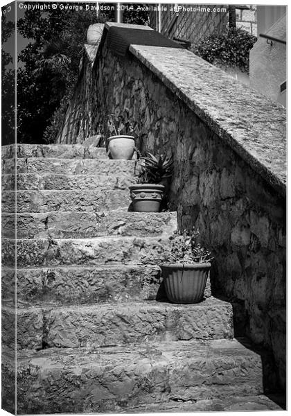 Potted Steps Canvas Print by George Davidson