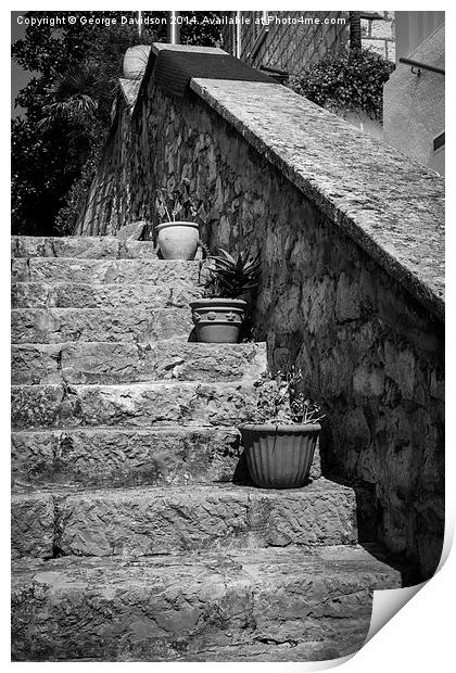 Potted Steps Print by George Davidson