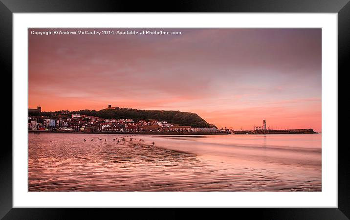  South Bay Sunset Framed Mounted Print by Andrew McCauley