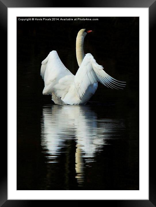  Reflections Framed Mounted Print by Dave Burden