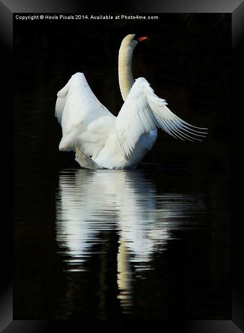  Reflections Framed Print by Dave Burden
