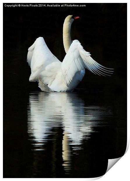  Reflections Print by Dave Burden