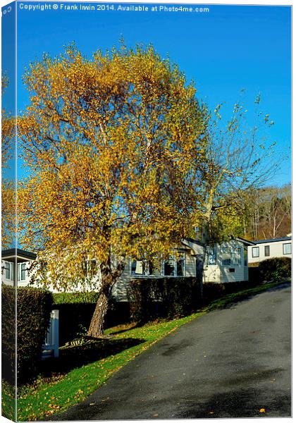  Autumnal colours in a Welsh caravan park Canvas Print by Frank Irwin