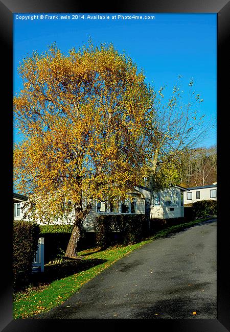  Autumnal colours in a Welsh caravan park Framed Print by Frank Irwin